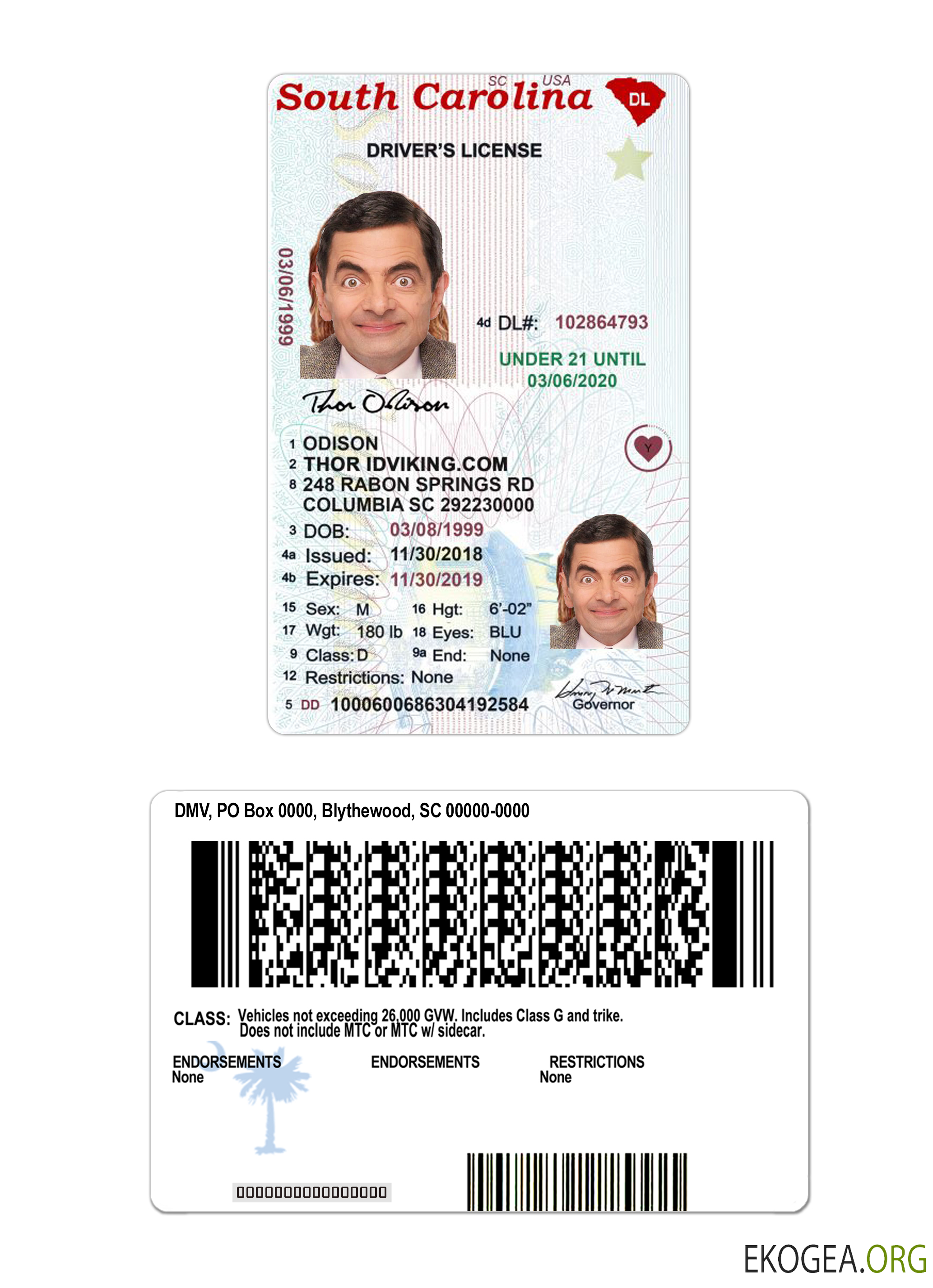 USA South Carolina under 21 driving license